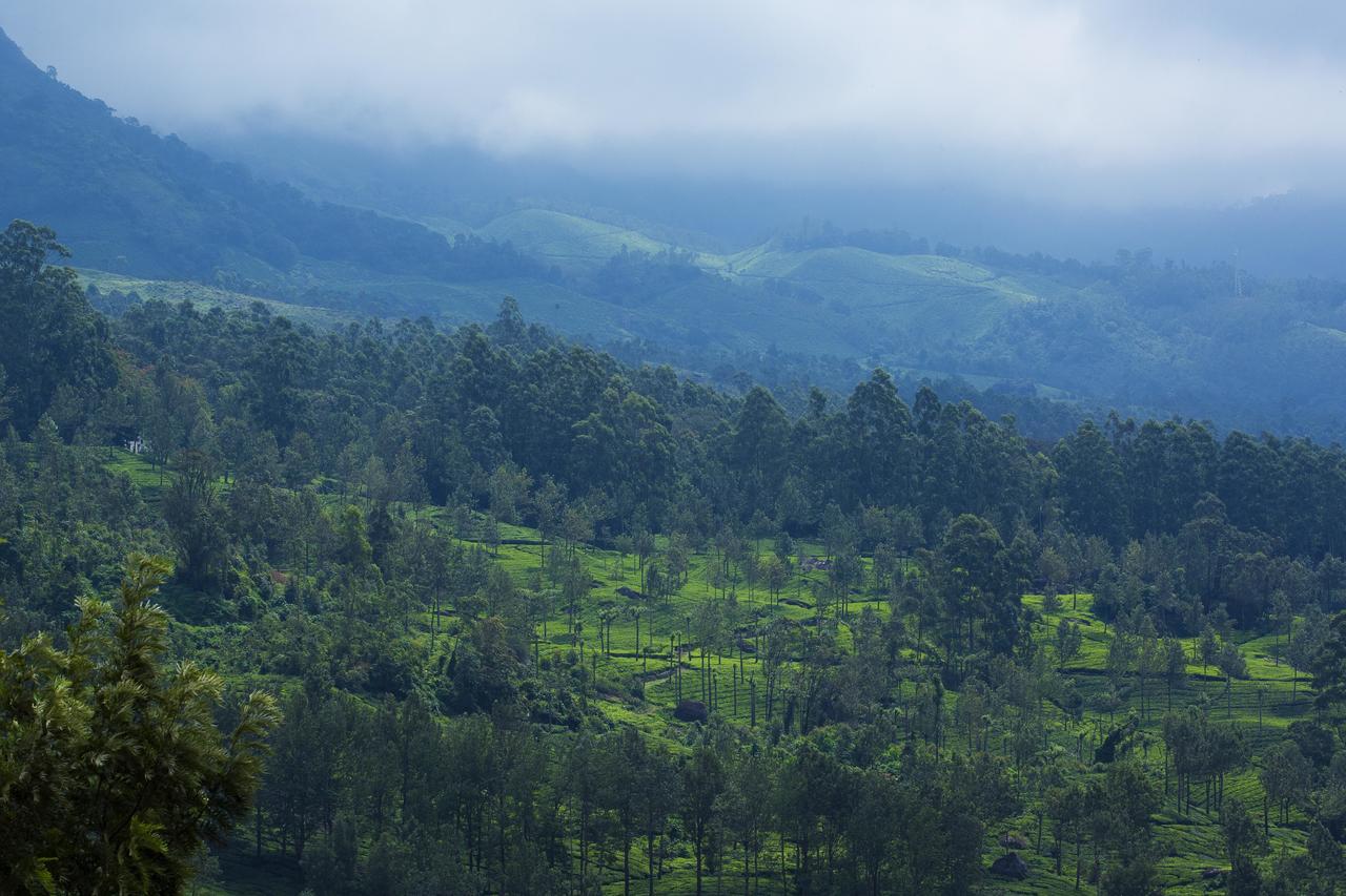 Mount View Munnar Hotel Екстериор снимка